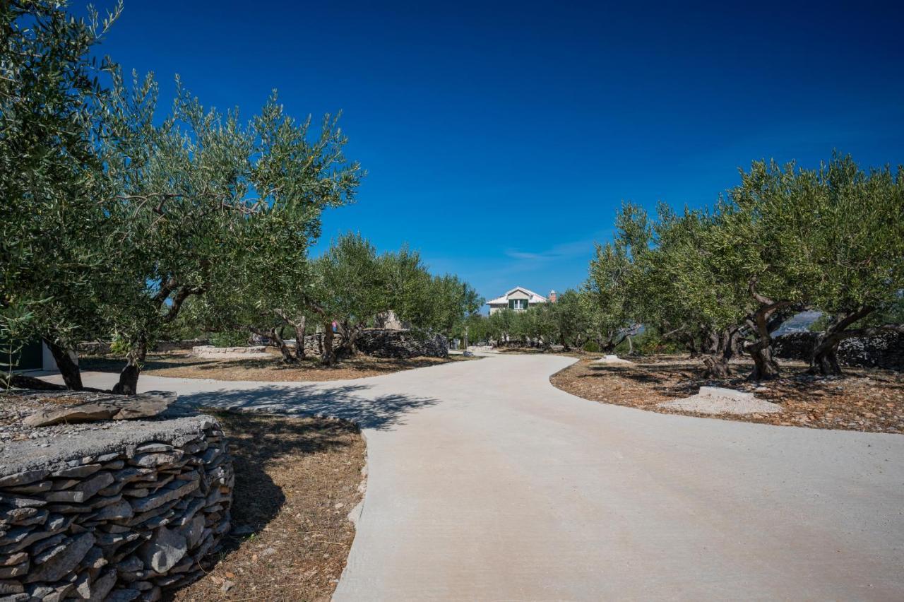 Olive Park House Brac