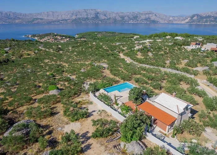 Olive Park House Brac