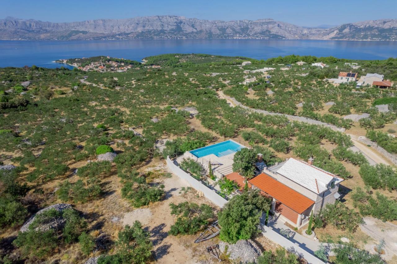 Olive Park House Brac